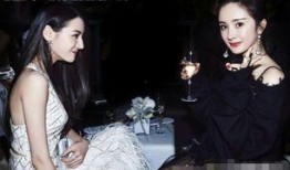 经纪公司爆料杨幂视频,经纪公司独家爆料，揭秘明星幕后生活