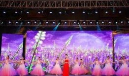 丰都体育馆爆料事件视频,真相究竟如何？