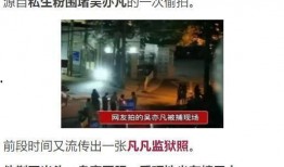 深圳吴先生最新爆料事件,揭秘事件背后惊人真相