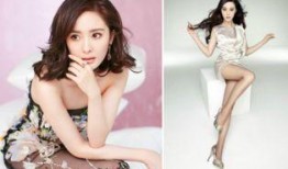 杨幂的最新爆料,揭秘娱乐圈背后的惊人真相